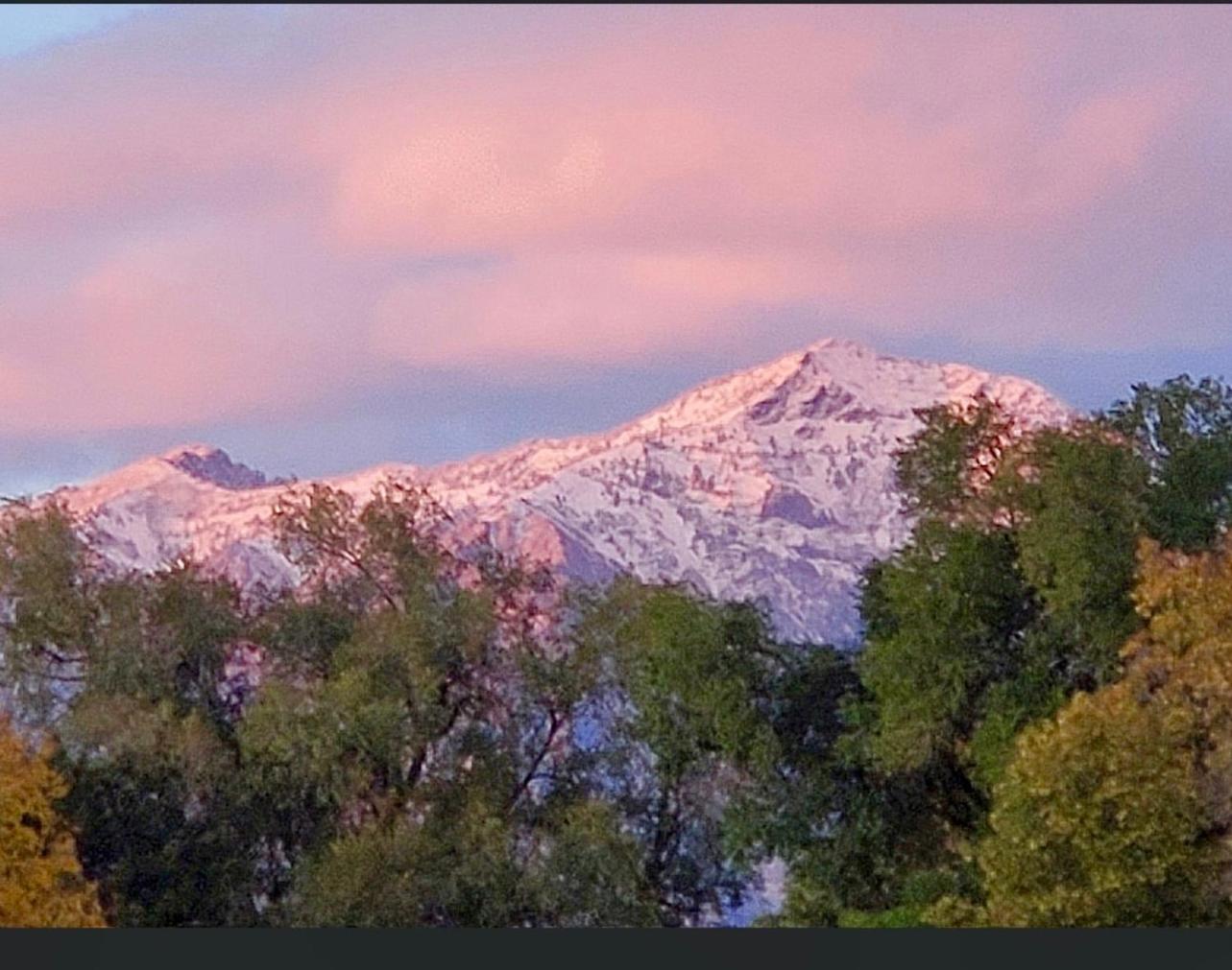 Wolf Creek Lodge Condo In Eden, Ut - Relaxing Mountain Retreat エクステリア 写真