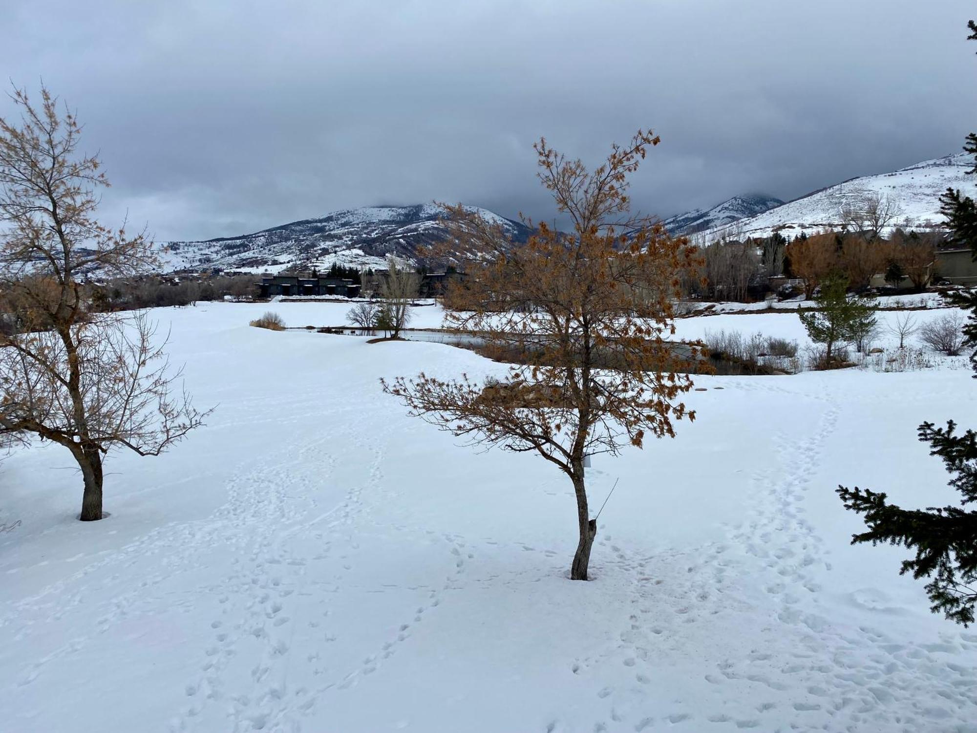 Wolf Creek Lodge Condo In Eden, Ut - Relaxing Mountain Retreat エクステリア 写真