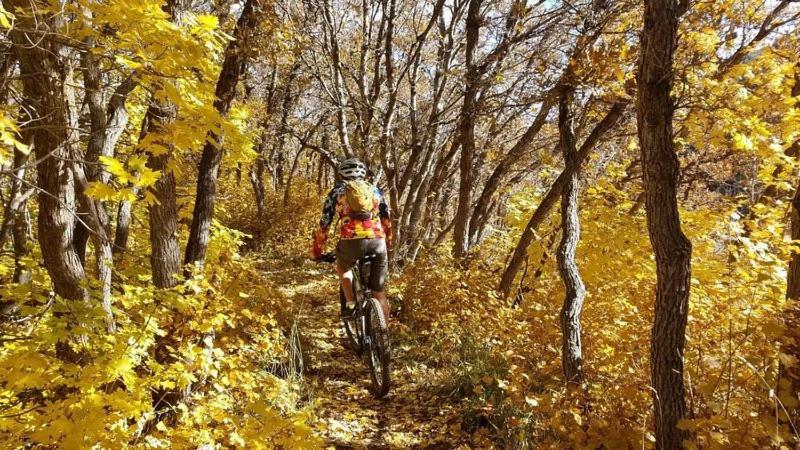 Wolf Creek Lodge Condo In Eden, Ut - Relaxing Mountain Retreat エクステリア 写真