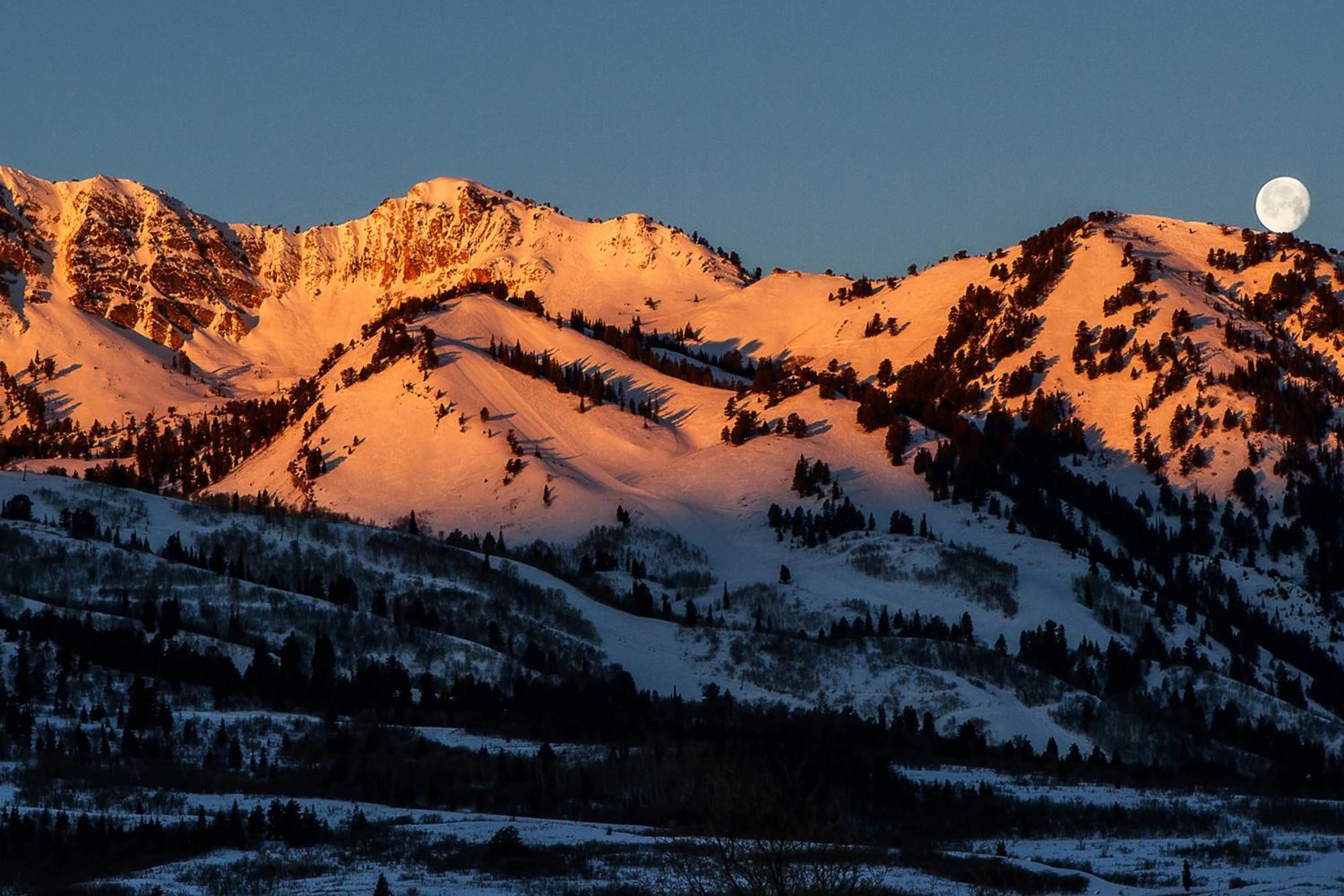 Wolf Creek Lodge Condo In Eden, Ut - Relaxing Mountain Retreat エクステリア 写真